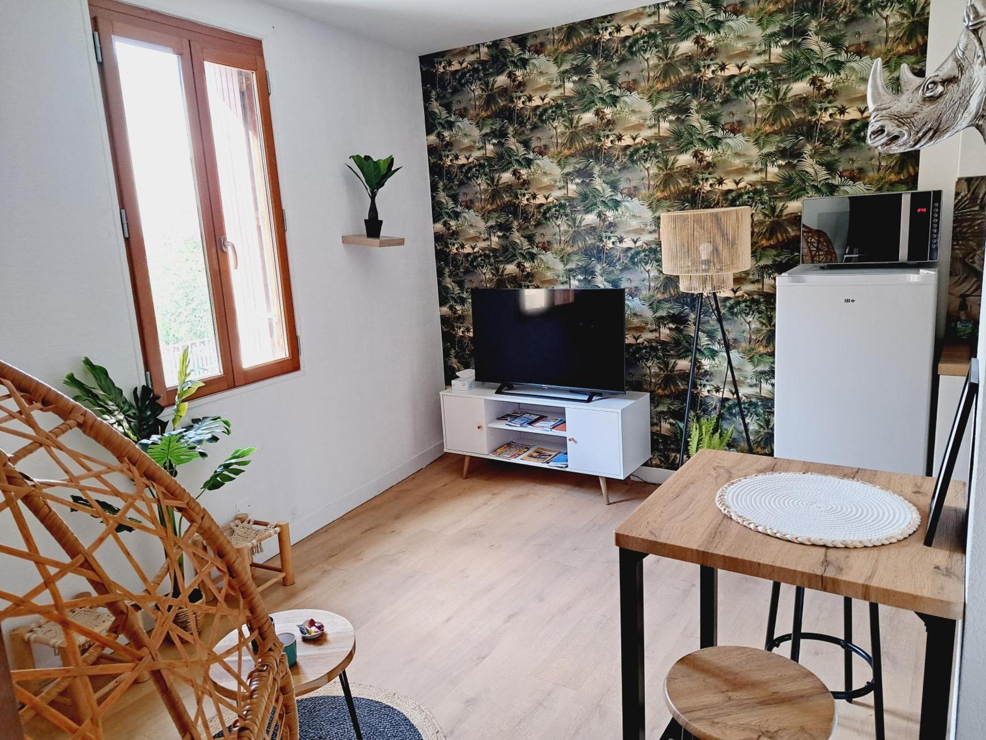 Le Jungle Appart, Centre Ville Narbonne Narbona Exterior foto